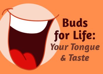 Houston dentist, Dr. Dassani at Dassani Dentistry, takes a moment to talk about what’s responsible for your love and dislike of certain foods: taste buds!